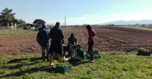 Campi Ri-Aperti. Aprire opportunità con il lavoro