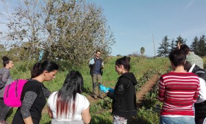 Scopri di più sull'articolo Com’è il primo incontro tra un adolescente e l’agricoltura sociale?