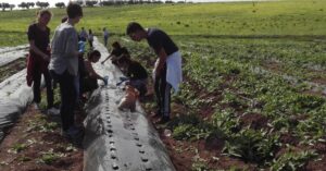 Nuovi semi iniziano a germogliare. Seconda giornata di Agricoltura Sociale