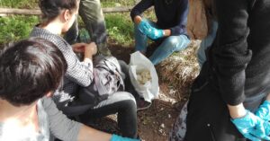 L’agricoltura sociale come affronta …la gelata?