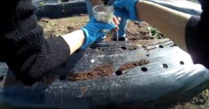 Agricoltura Sociale in soggettiva. Il punto di vista dei ragazzi… con una GoPro