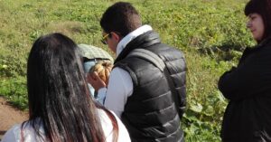 “Il peso di una zucca”. L’esperienza dell’educatore