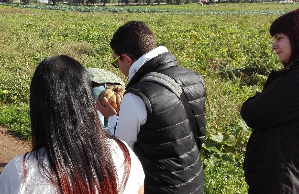Al momento stai visualizzando “Il peso di una zucca”. L’esperienza dell’educatore