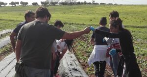 Contemplativi, sperimentatori e inseriti. Chi sono i soggetti che incontrano l’agricoltura sociale?