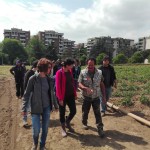 Giro dell'azienda: il quartiere di Tor Tre Teste fa da cornice a questo angolo di verde