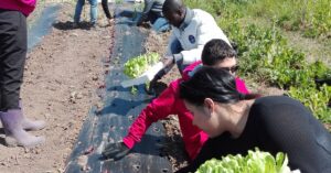 Prima Giornata di Agricoltura Sociale: subito in gruppo!