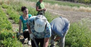 Iniziamo l’estate a Martignano, diffondendo l’Agricoltura Sociale