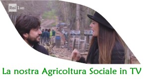 Scopri di più sull'articolo Linea Verde e non solo… Agricoltura Sociale in Tv e Radio