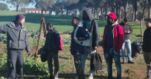 Abbiamo trovato Coraggio e Aria per fare Agricoltura Sociale. Alla scoperta delle due cooperative