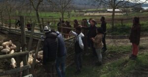 Integrazione. Campi Ri-Aperti è considerato un modello