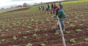 Rete Territoriale Educativa. Cos’è e come nasce la rete di Kairos?