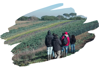 Cooperativa Agricola Coraggio