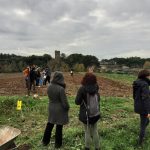 Semina del farro
