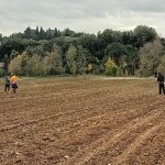 Semina del farro