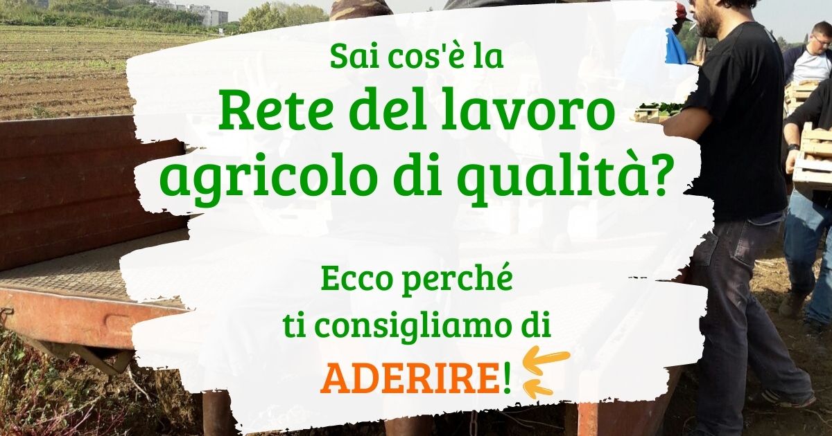 Al momento stai visualizzando Rete del lavoro agricolo di qualità | Perché aderire?