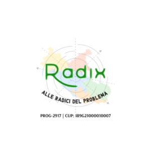 Scopri di più sull'articolo Progetto Radix “a colpo d’occhio”